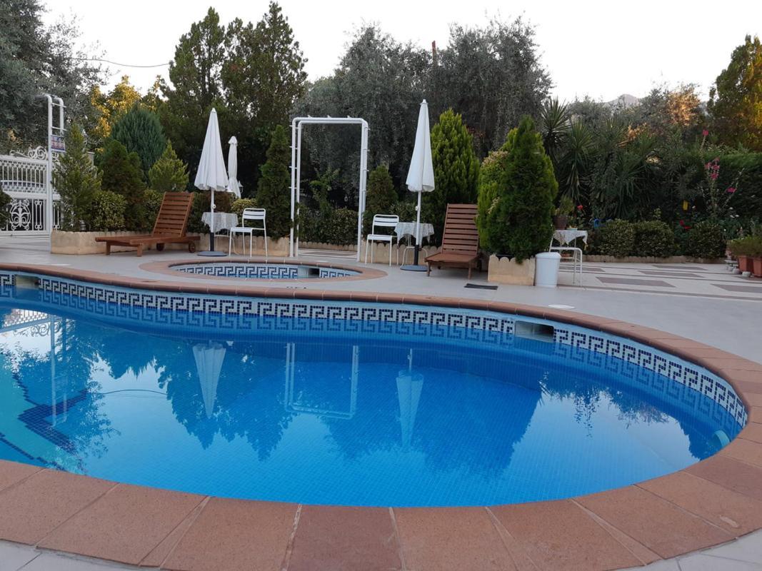 Ioli Apartments Limenas  Exterior foto